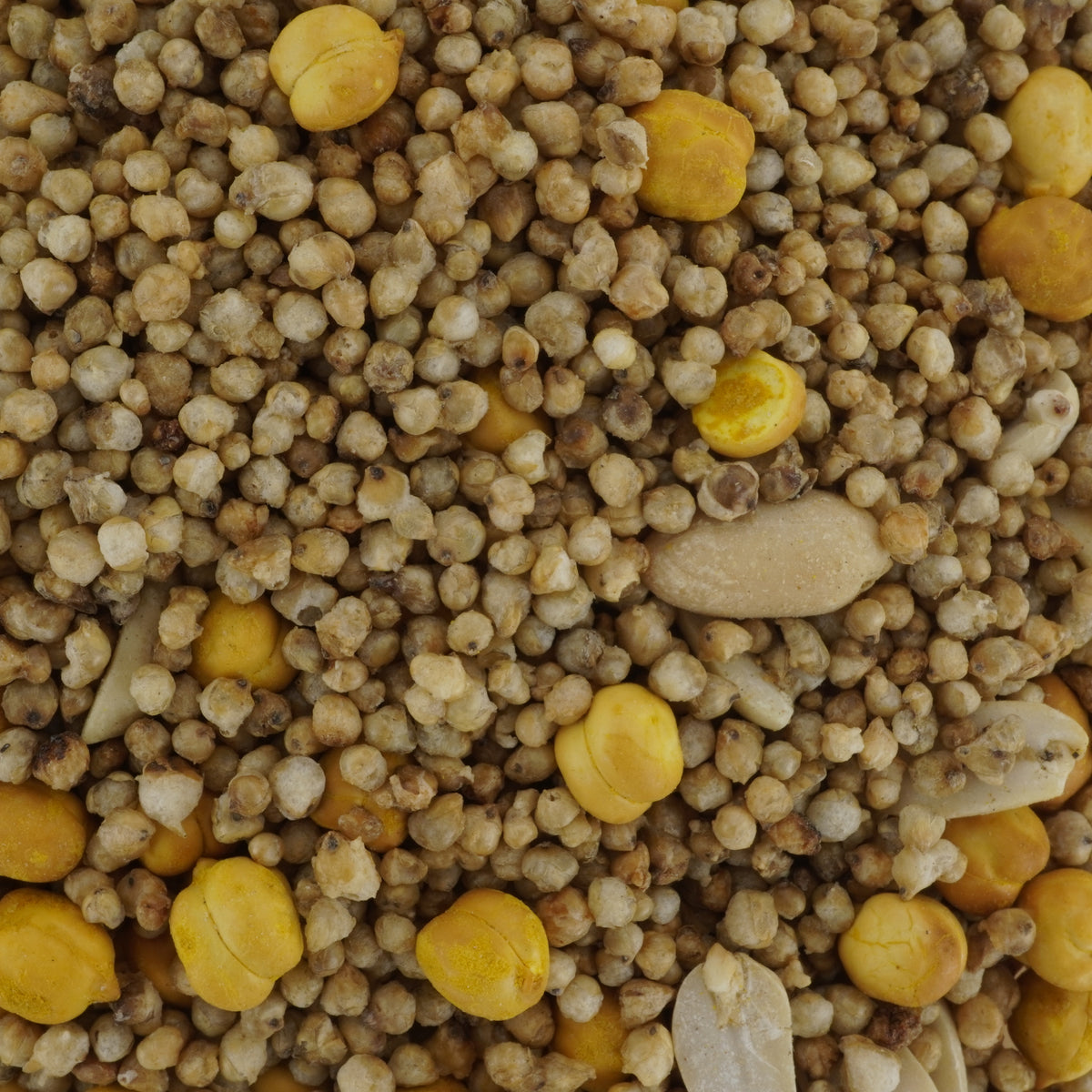 BAJARA SALTED MIX